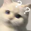 りのプロフィール画像