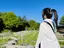 かーりのプロフィール画像
