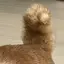 ゆうかのプロフィール画像