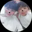 奈緒のプロフィール画像