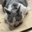 かおりのプロフィール画像