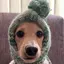 しーたんのプロフィール画像