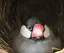 みこのプロフィール画像