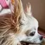 saaのプロフィール画像