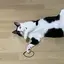 ayaのプロフィール画像