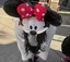 ちーのプロフィール画像