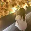 まどのプロフィール画像