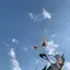 Rinaのプロフィール画像