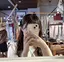 里菜のプロフィール画像