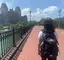 ゆうかのプロフィール画像