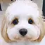 なーちゃんのプロフィール画像