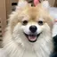 Mのプロフィール画像