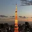 スプラッシュリリーのプロフィール画像
