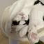 snのプロフィール画像