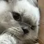 はのんのプロフィール画像