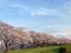 のらおのプロフィール画像