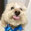 まぁのプロフィール画像