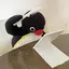 たけしのプロフィール画像
