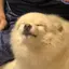 ウリのプロフィール画像