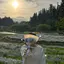 ゆみのプロフィール画像