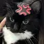 ﾖｼｰのプロフィール画像