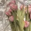 めろんぱんのプロフィール画像
