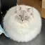 かずやんのプロフィール画像