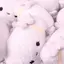 lllのプロフィール画像