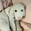 あのプロフィール画像