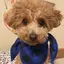 かこのプロフィール画像