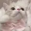 ナズナのプロフィール画像