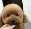 Rのプロフィール画像