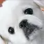 みっつのプロフィール画像