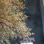 ٩(ˊᗜˋ*)وのプロフィール画像
