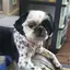 JJのプロフィール画像