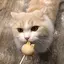 あさきのプロフィール画像