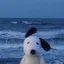 Mappyのプロフィール画像