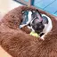 ohanaのプロフィール画像