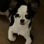 光のプロフィール画像