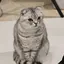 yのプロフィール画像