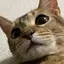 mのプロフィール画像