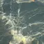 mashuのプロフィール画像
