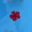 しゅんのプロフィール画像