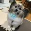 ちえのプロフィール画像