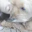 しののプロフィール画像