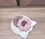 愛美のプロフィール画像