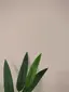 Tanaのプロフィール画像