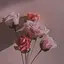 MeYouのプロフィール画像