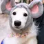 なちゃんのプロフィール画像