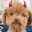 ★のプロフィール画像